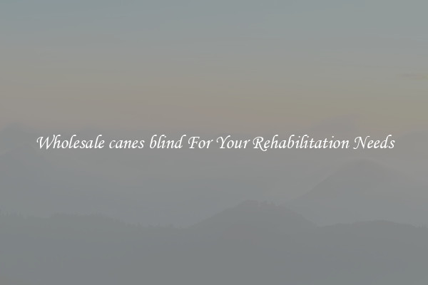 Wholesale canes blind For Your Rehabilitation Needs