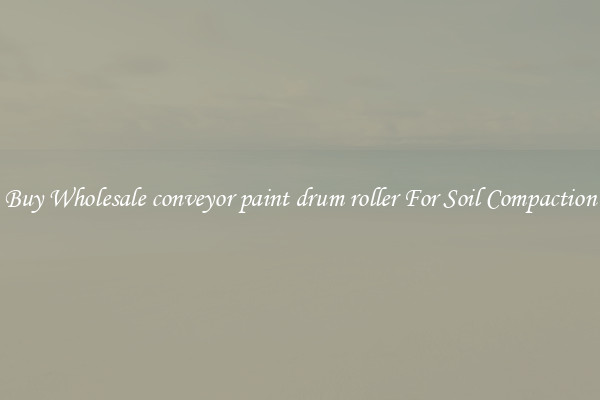 Buy Wholesale conveyor paint drum roller For Soil Compaction