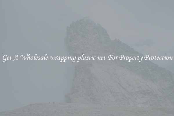 Get A Wholesale wrapping plastic net For Property Protection