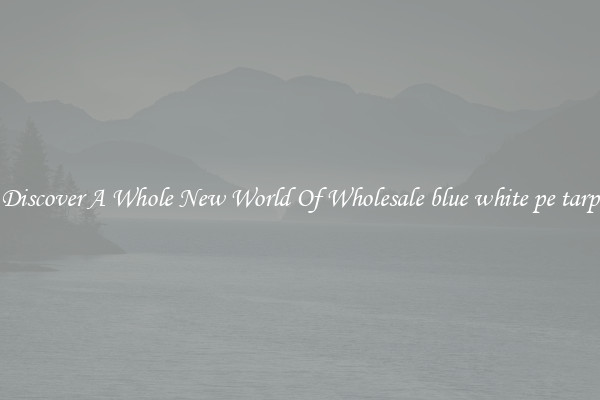 Discover A Whole New World Of Wholesale blue white pe tarp