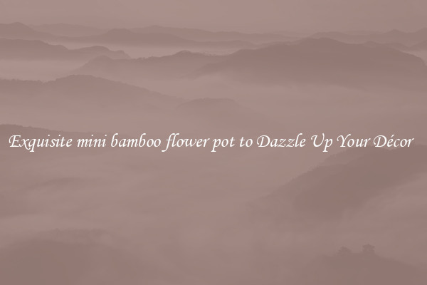 Exquisite mini bamboo flower pot to Dazzle Up Your Décor  
