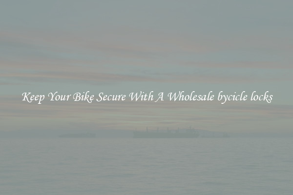 Keep Your Bike Secure With A Wholesale bycicle locks
