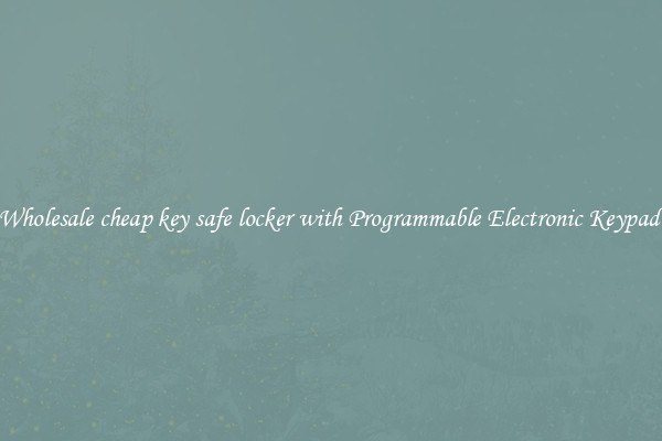 Wholesale cheap key safe locker with Programmable Electronic Keypad 