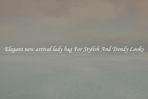 Elegant new arrival lady bag For Stylish And Trendy Looks