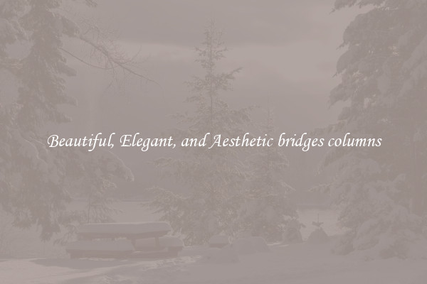 Beautiful, Elegant, and Aesthetic bridges columns