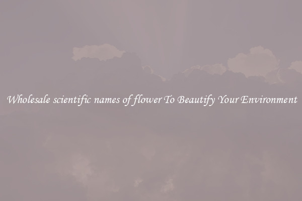 Wholesale scientific names of flower To Beautify Your Environment