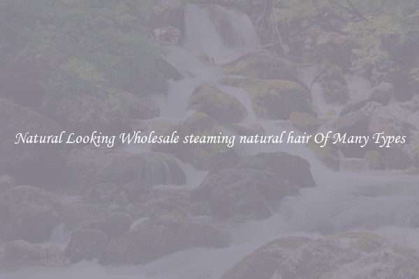 Natural Looking Wholesale steaming natural hair Of Many Types
