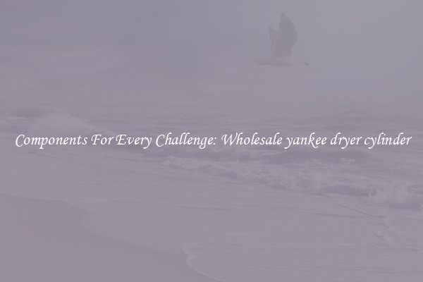Components For Every Challenge: Wholesale yankee dryer cylinder