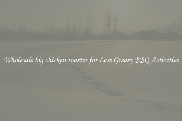 Wholesale big chicken roaster for Less Greasy BBQ Activities