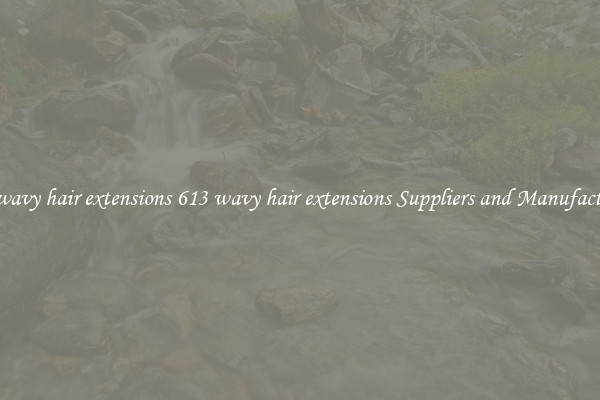613 wavy hair extensions 613 wavy hair extensions Suppliers and Manufacturers