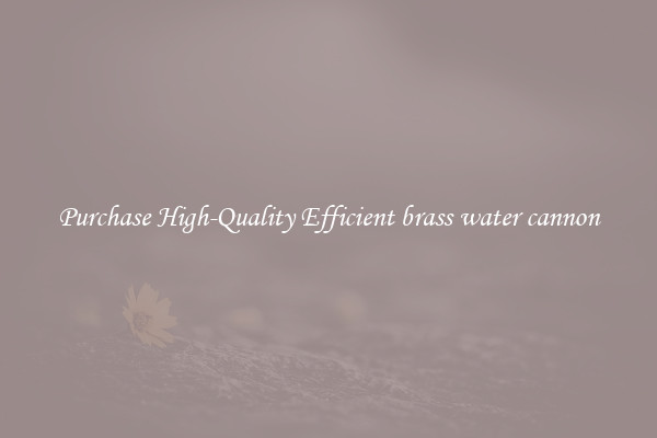 Purchase High-Quality Efficient brass water cannon