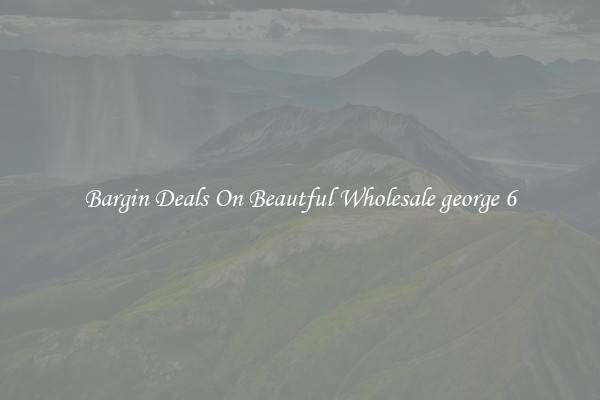 Bargin Deals On Beautful Wholesale george 6