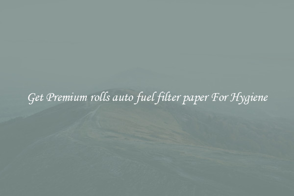 Get Premium rolls auto fuel filter paper For Hygiene