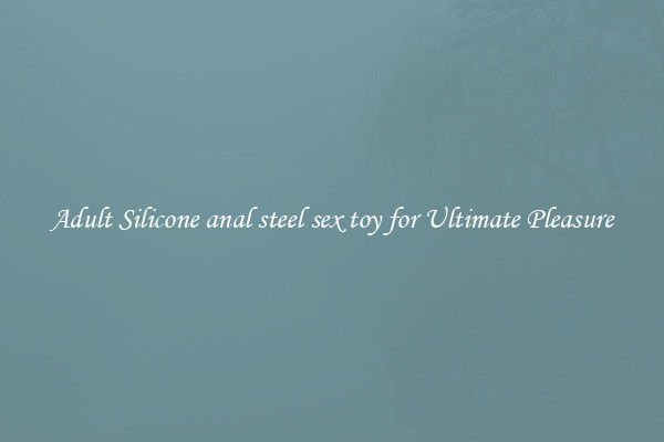 Adult Silicone anal steel sex toy for Ultimate Pleasure