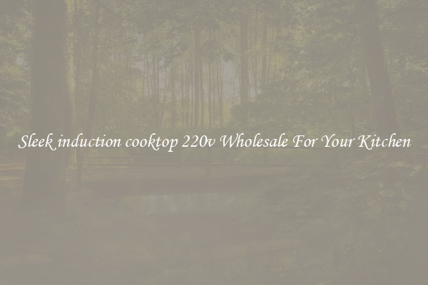 Sleek induction cooktop 220v Wholesale For Your Kitchen