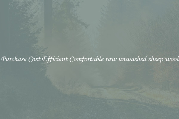 Purchase Cost Efficient Comfortable raw unwashed sheep wool