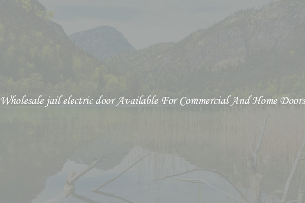 Wholesale jail electric door Available For Commercial And Home Doors
