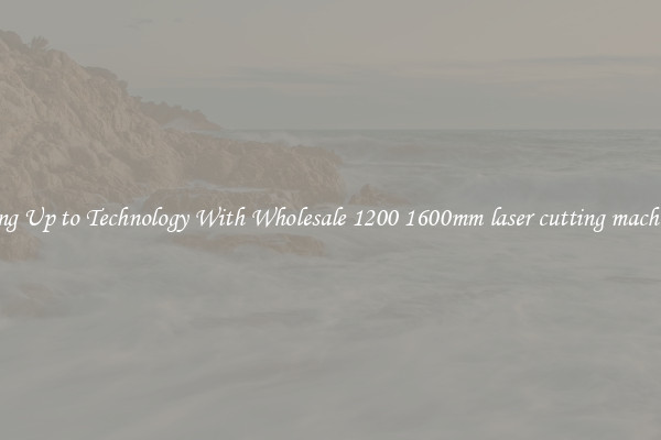 Matching Up to Technology With Wholesale 1200 1600mm laser cutting machine price