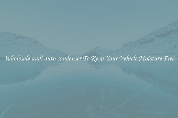 Wholesale audi auto condenser To Keep Your Vehicle Moisture Free