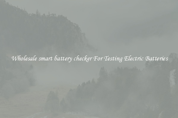 Wholesale smart battery checker For Testing Electric Batteries