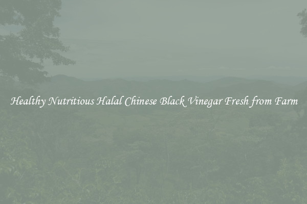 Healthy Nutritious Halal Chinese Black Vinegar Fresh from Farm