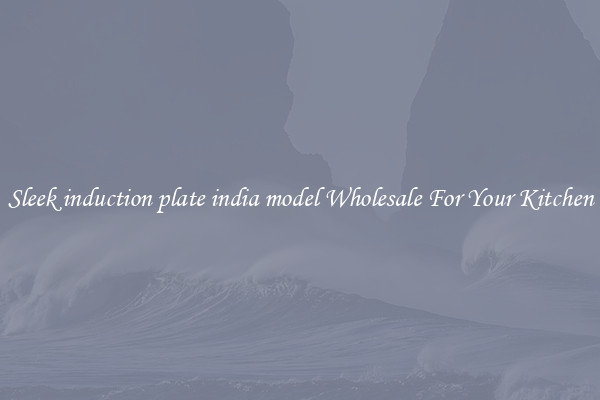 Sleek induction plate india model Wholesale For Your Kitchen