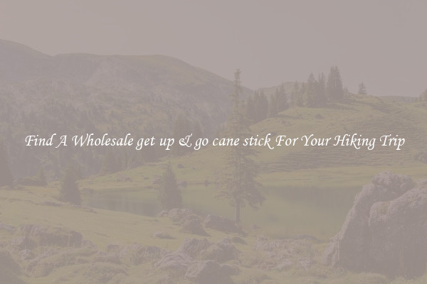 Find A Wholesale get up & go cane stick For Your Hiking Trip