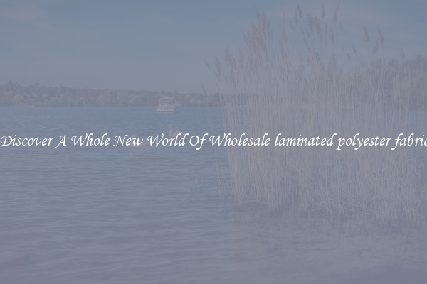 Discover A Whole New World Of Wholesale laminated polyester fabric